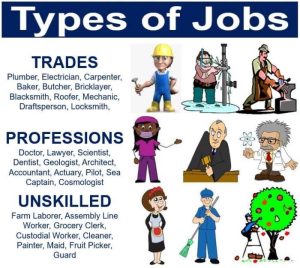 Job career difference between