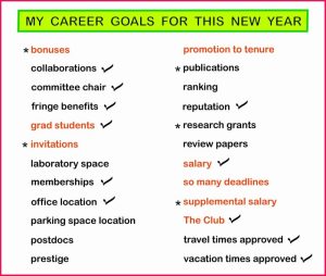 Career sample plan setting synergy describe